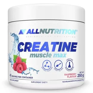 Allnutrition Creatine Muscle Max - mikronizuotas kreatino