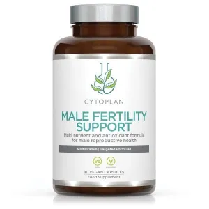 Cytoplan Male Fertility Support - 90 vcaps